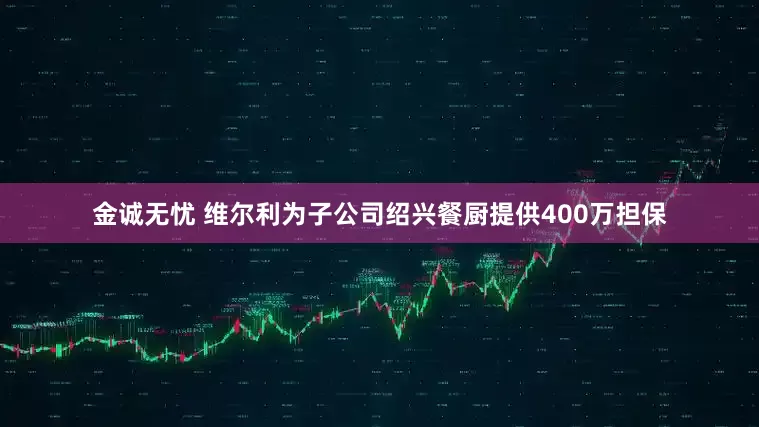 金诚无忧 维尔利为子公司绍兴餐厨提供400万担保