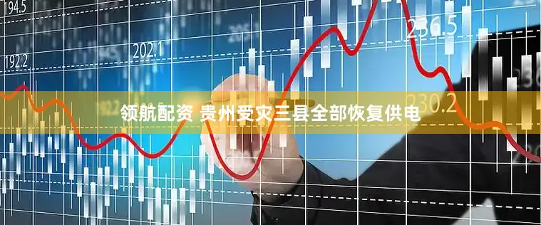 领航配资 贵州受灾三县全部恢复供电