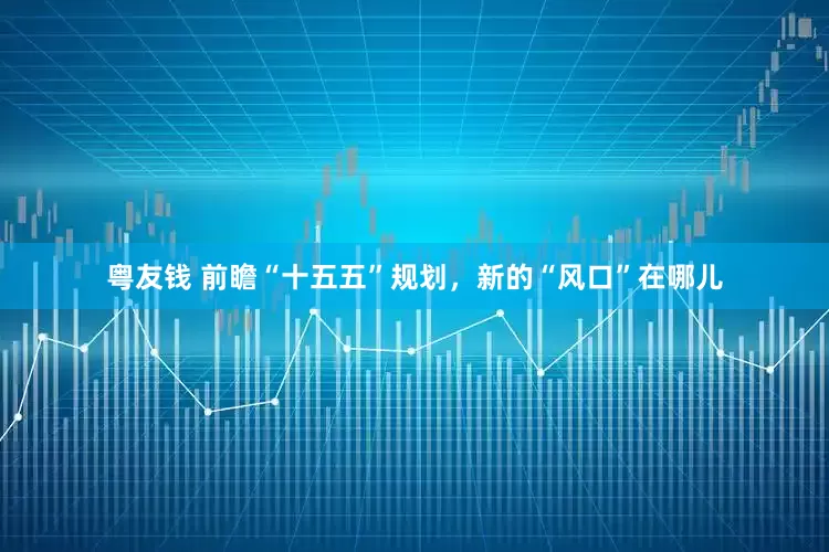 粤友钱 前瞻“十五五”规划，新的“风口”在哪儿