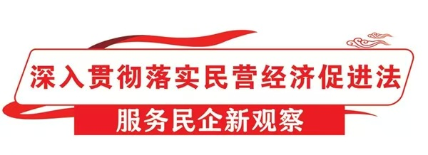 鼎茂策略 法治赋能，照亮民企“出海”路