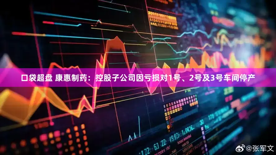 口袋超盘 康惠制药：控股子公司因亏损对1号、2号及3号车间停产